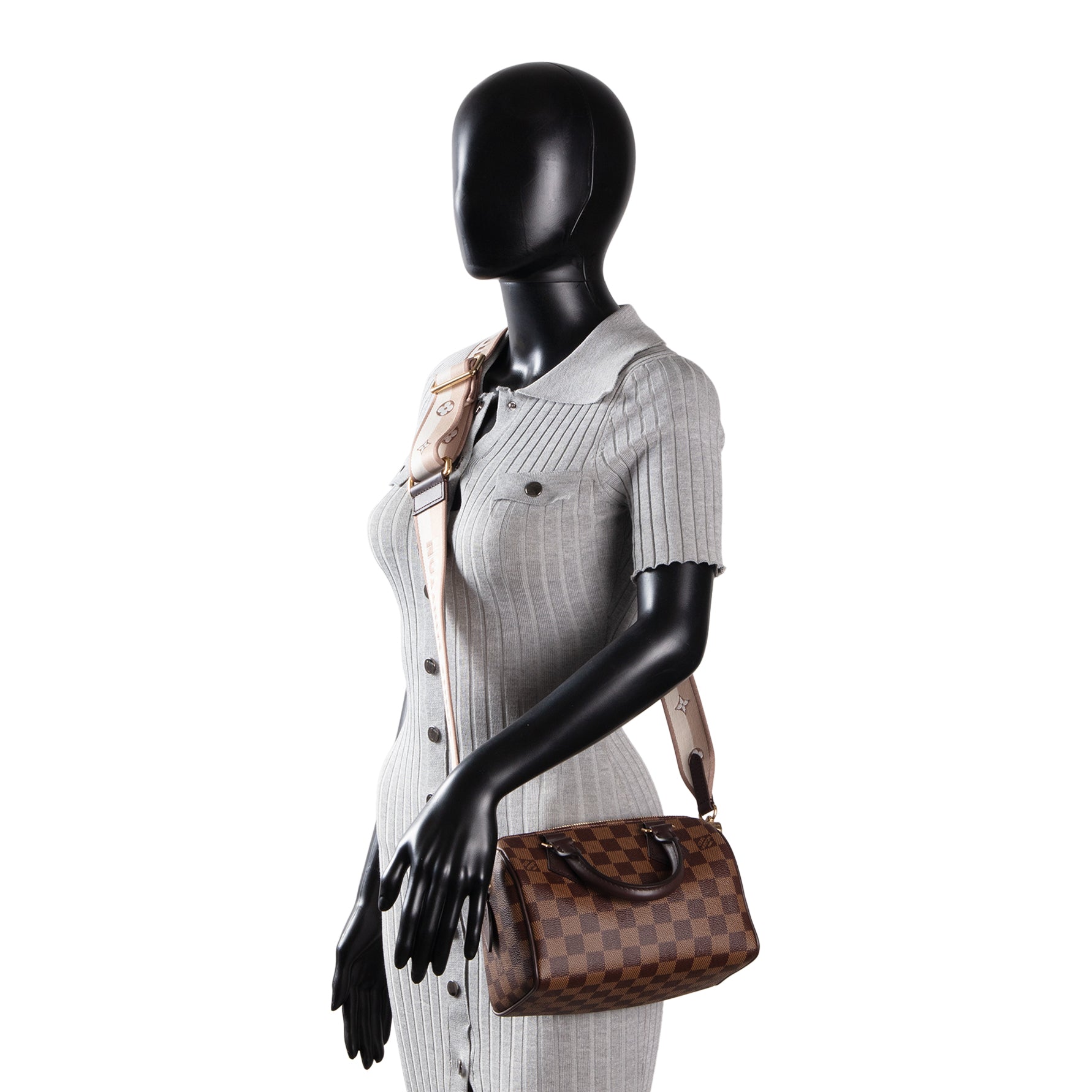 LOUIS VUITTON Damier Ebene Speedy 20